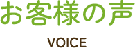 VOICE
